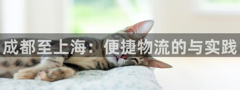 多多28注册上限是啥意思:成都至上海