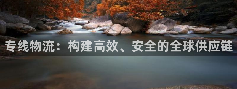 多多28加拿大预测：专线物流：构建高