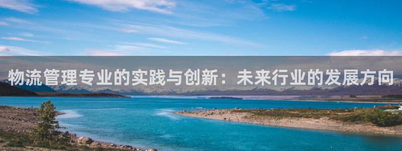 多多28模拟器下载