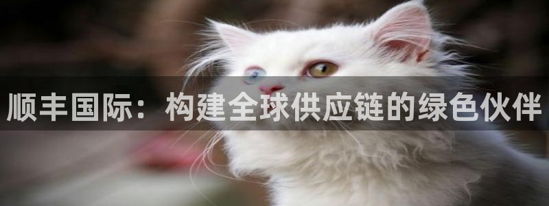 多多28加拿大能提现吗：顺丰国际：构