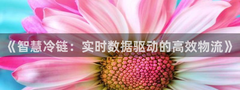 多多28官网注册：《智慧冷链：实时数