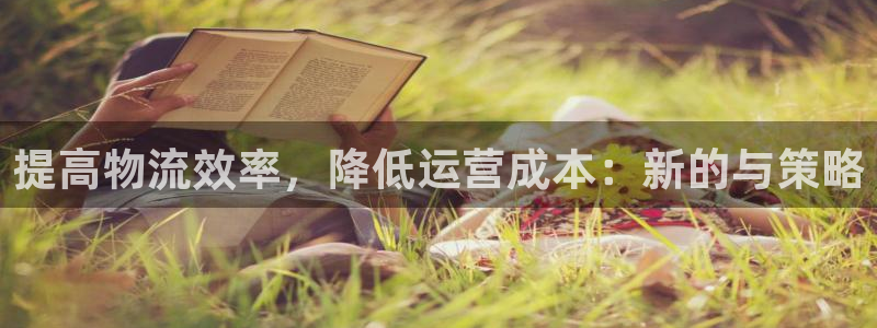 多多28登录网：提高物流效率，降低运