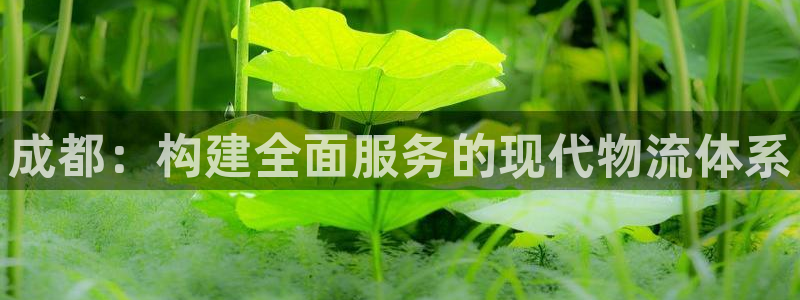 麻将1多多28：成都：构建全面服务的