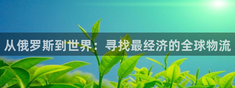 多多28登录网:从俄罗斯到世界:寻找