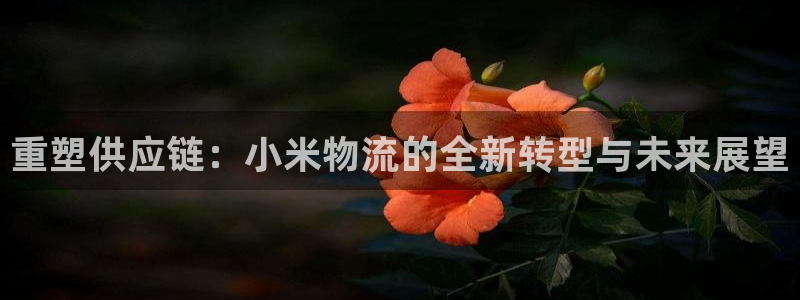 多多28反水什么时候到:重塑供应链: