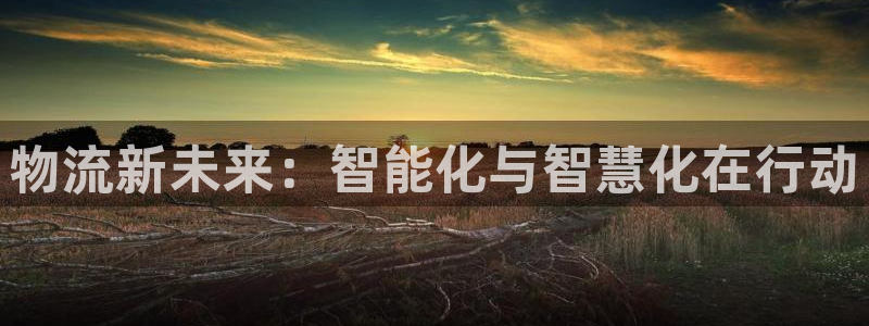 多多28连接：物流新未来：智能化与智
