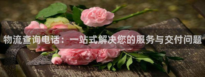 多多28加拿大：物流查询电话：一站式