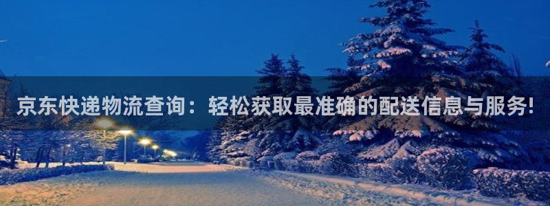 多多28取保：京东快递物流查询：轻松