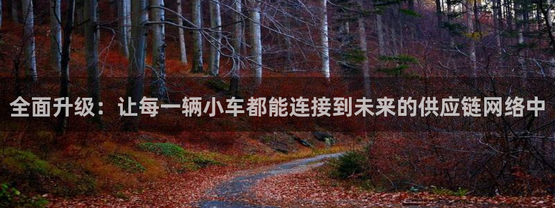 多多28分分28预测：全面升级：让每
