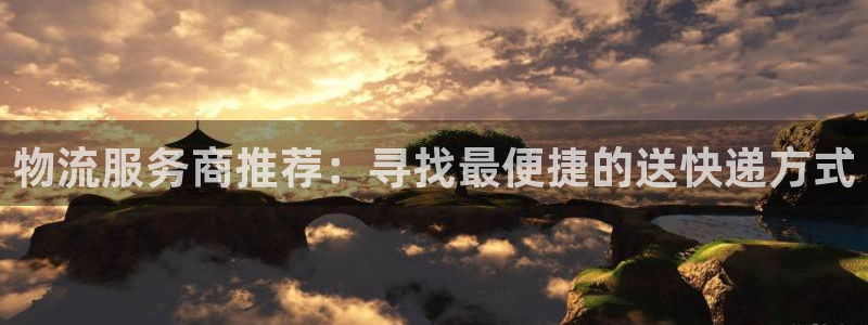 多多28加拿大最新版：物流服务商推荐