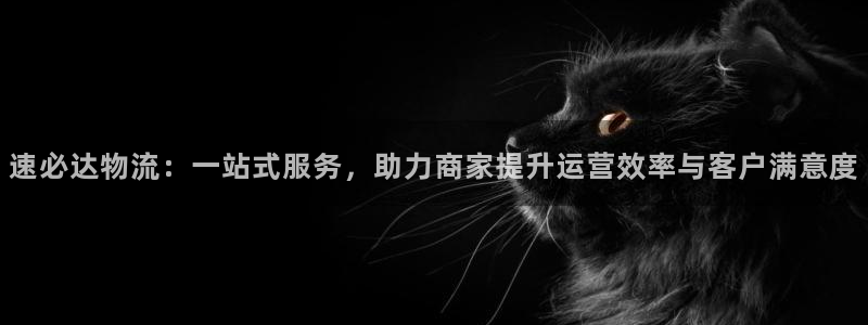 多多28娱乐官网网页下载：速必达物流