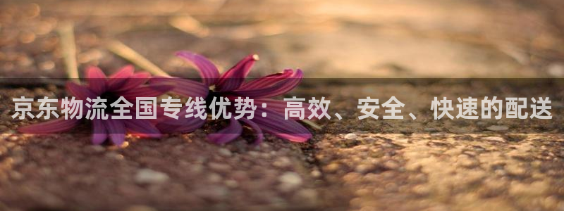 多多28p扣款什么意思