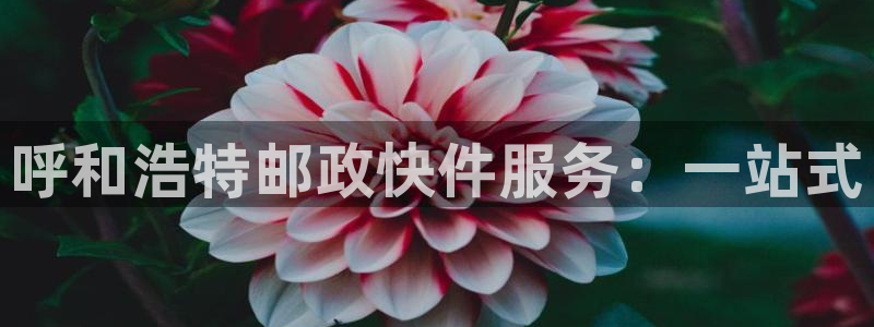 多多28注册平台：呼和浩特邮政快件服