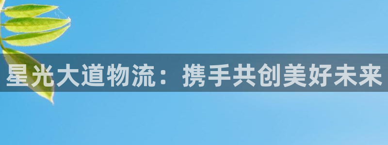 多多28退款教程:星光大道物流:携手