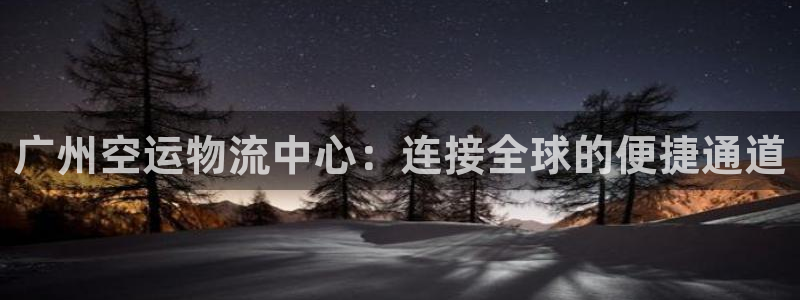 多多28官网下载多少钱：广州空运物流