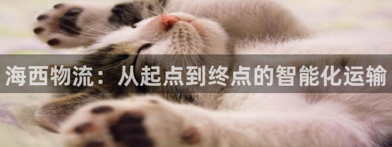 多多28注册网址：海西物流：从起点到