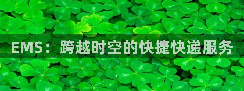 多多28口内径是多大：EMS：跨越时