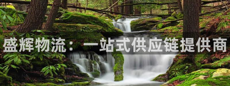 多多28机器人是什么软件