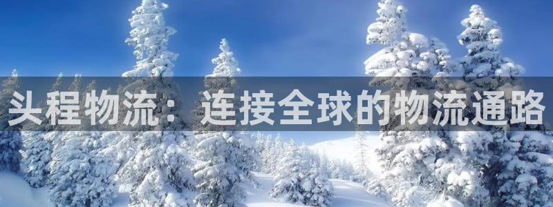 多多28电子游戏