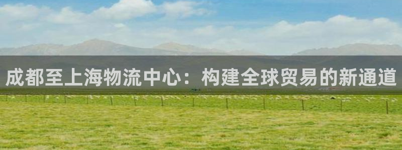 多多28龙虎：成都至上海物流中心：构