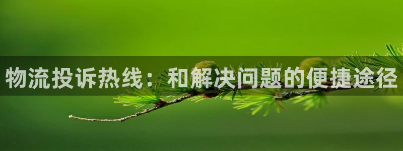 多多28百度百科