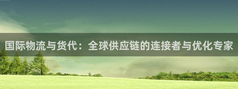 多多28模拟器下载：国际物流与货代：