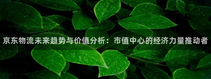 多多28PG电子游戏：京东物流未来趋