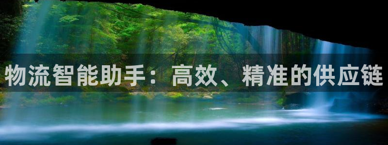 多多28官网下载多少：物流智能助手：