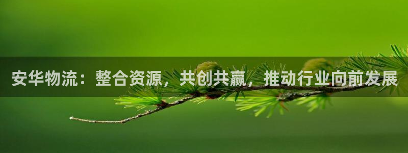 多多28登录不上咋回事：安华物流：整