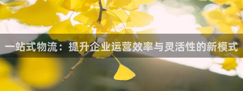 多多28充值不处理怎么办