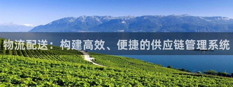 多多28app赢了500万：物流配送