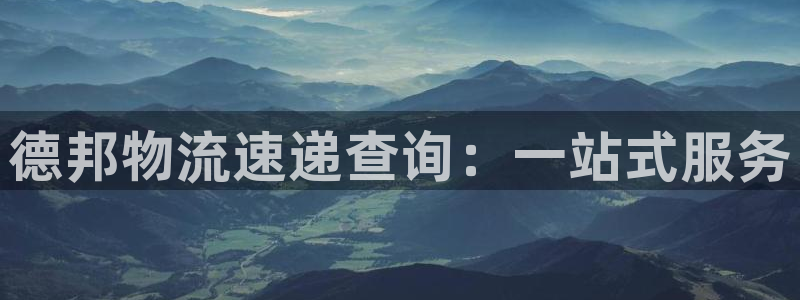 多多28注册网页：德邦物流速递查询：