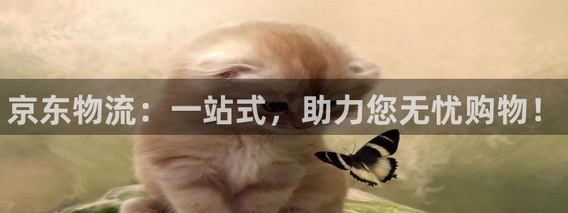 多多28注册地址：京东物流：一站式，