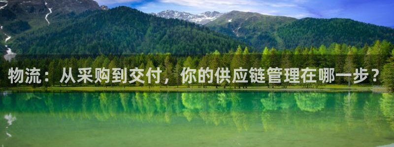 多多28流水怎么算：物流：从采购到交