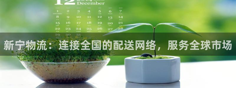 多多28大神预测：新宁物流：连接全国
