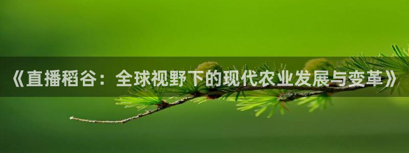 篮球比赛直播在线观看球吧网：《直播稻谷：全球视野下的现代农业发展与变革》