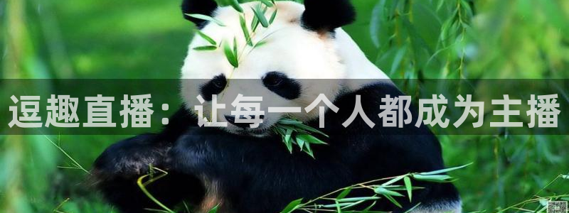 看球吧jrs低调直播nba：逗趣直播：让每一个人都成为主播