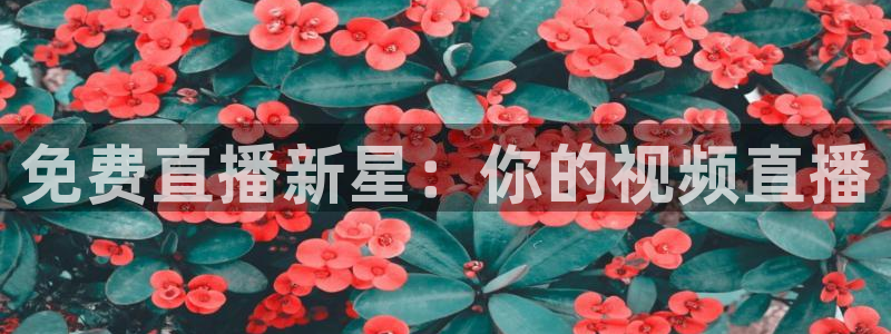 看球吧体育直播平台：免费直播新星：你的视频直播