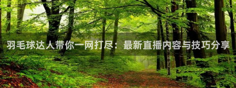 nba直播 看球吧：羽毛球达人带你一网打尽：最新直播内容与技巧分享