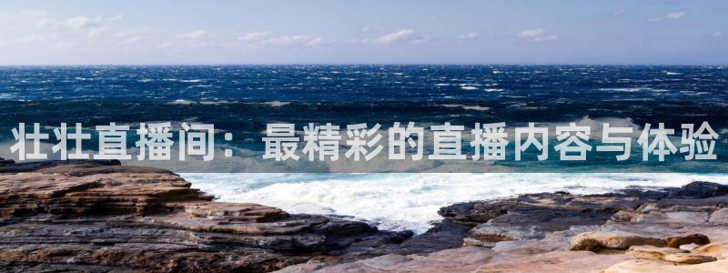 nba直播 看球吧：壮壮直播间：最精彩的直播内容与体验