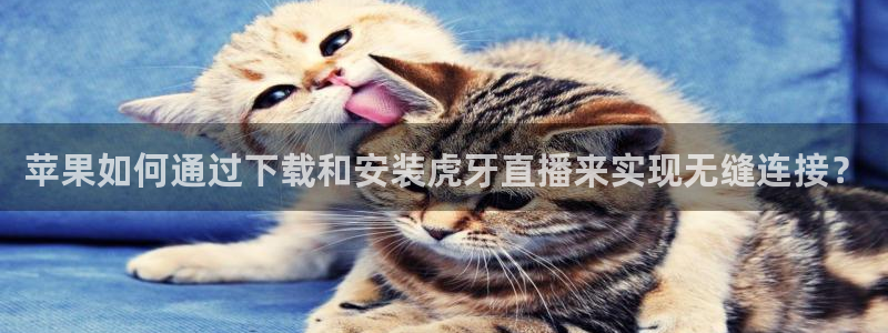 jrs直播低调看球吧：苹果如何通过下载和安装虎牙直播来实现无缝连接？